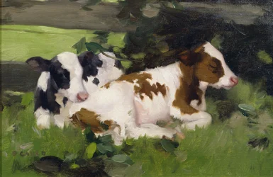 Ayrshire kalveren, c.1890